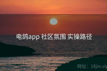 电鸽app 社区氛围 实操路径