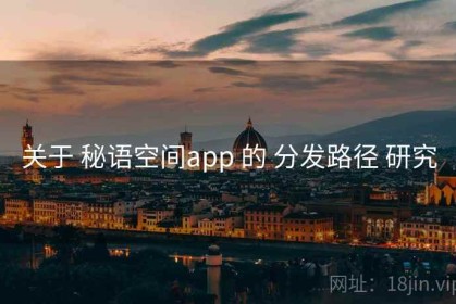 关于 秘语空间app 的 分发路径 研究