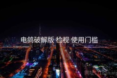 电鸽破解版 检视 使用门槛