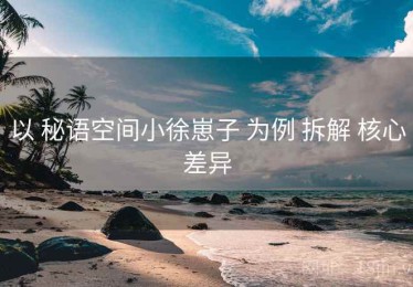 以 秘语空间小徐崽子 为例 拆解 核心差异