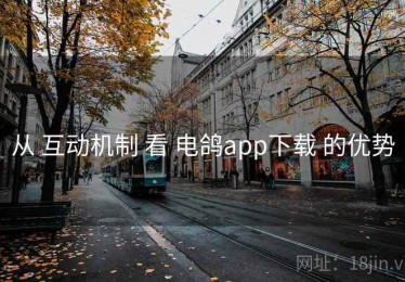 从 互动机制 看 电鸽app下载 的优势