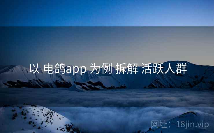 以 电鸽app 为例 拆解 活跃人群 以 电鸽app 为例 拆解 活跃人群