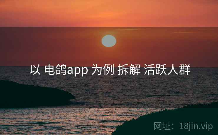 以 电鸽app 为例 拆解 活跃人群 以 电鸽app 为例 拆解 活跃人群