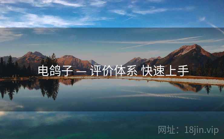 电鸽子 — 评价体系 快速上手 电鸽子 — 评价体系 快速上手