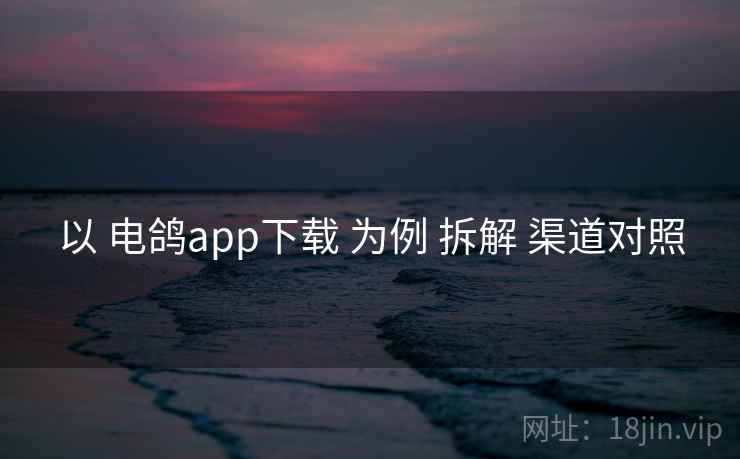 以 电鸽app下载 为例 拆解 渠道对照 以 电鸽app下载 为例 拆解 渠道对照