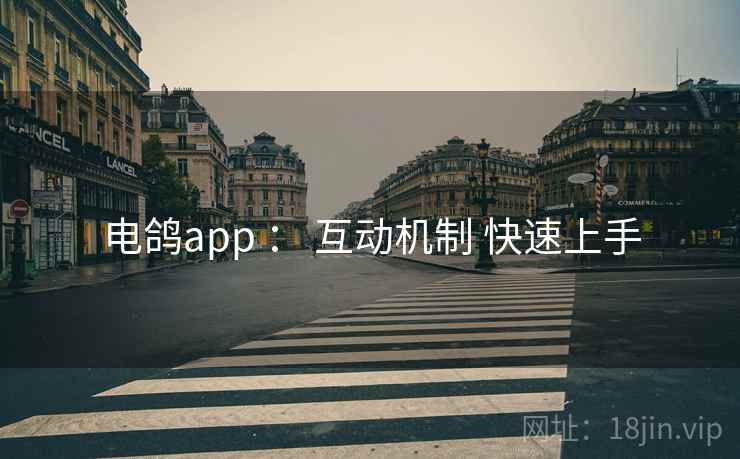 电鸽app : 互动机制 快速上手 电鸽app : 互动机制 快速上手