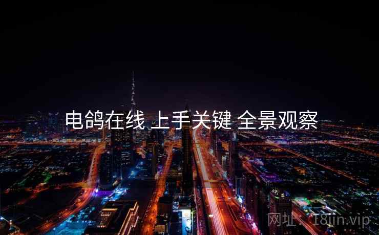 电鸽在线 上手关键 全景观察 电鸽在线 上手关键 全景观察